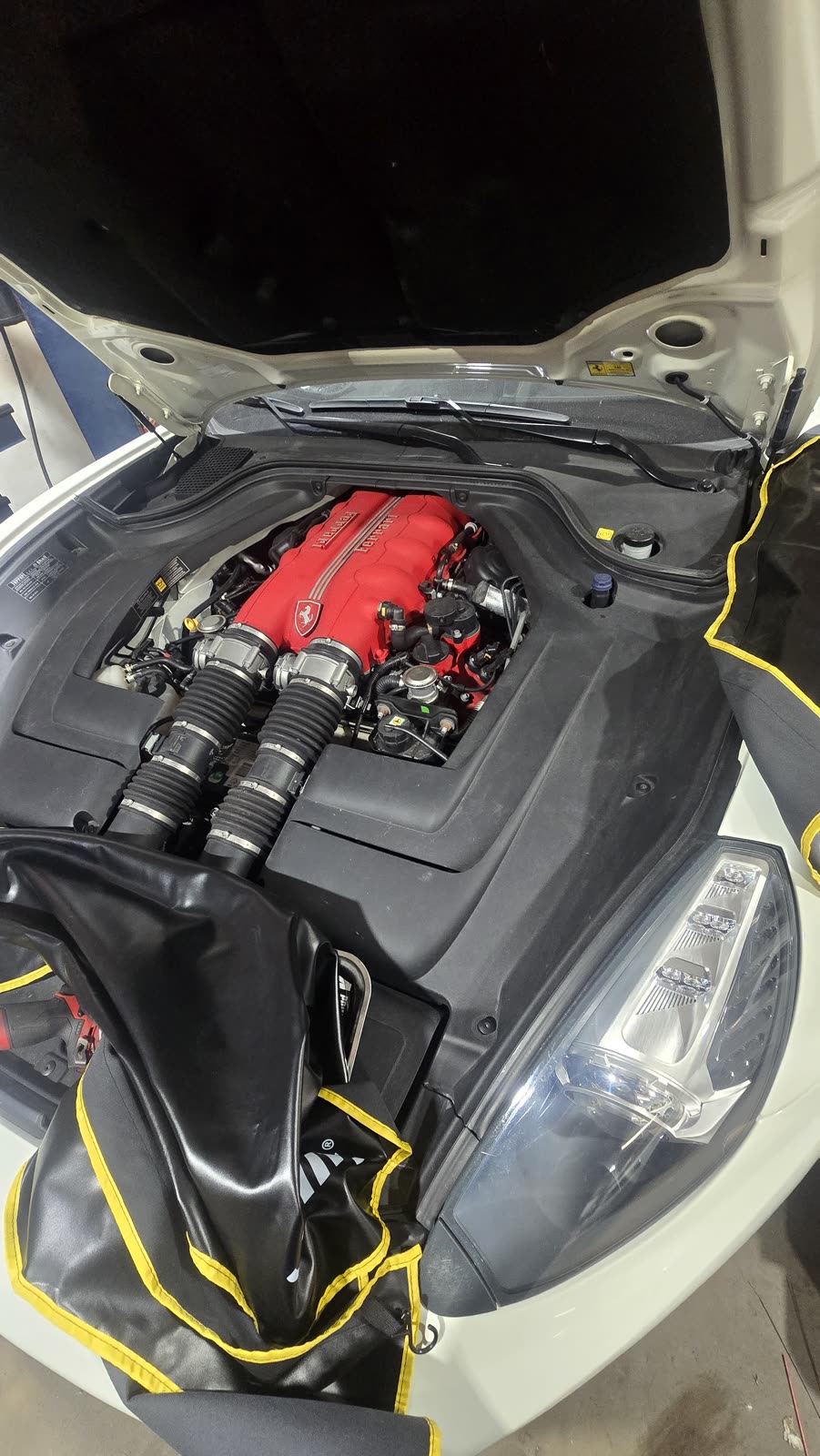 Ferrari V8 engine bay